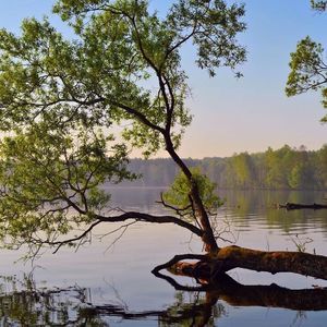 Meet your Posher, Ruta